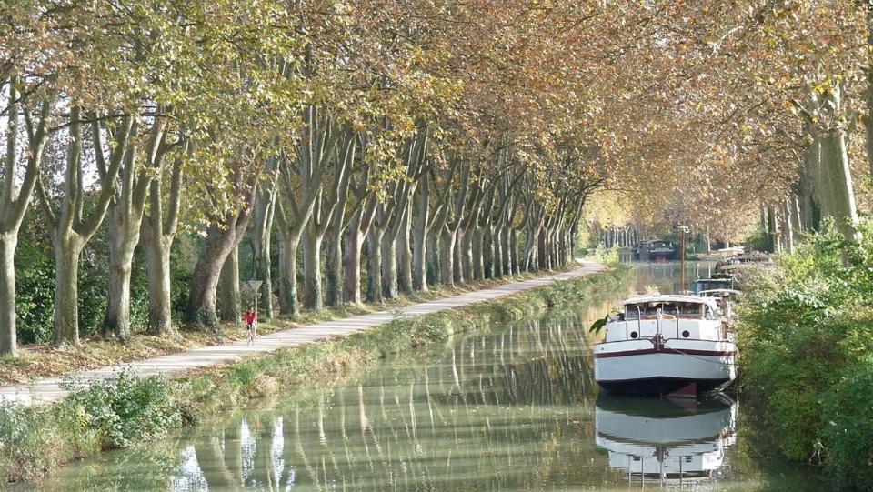 Les Gardenias Bed & Breakfast Toulouse Ngoại thất bức ảnh